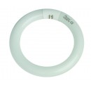 Caja 10 tubo fluorescente circular 40W