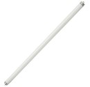 Caja 25 tubos fluorescentes T5 Trifosforo 6W G5 226mm. 220-240V.