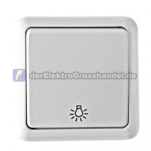 Aufputz-Wippe mit Symbol "Licht" 10A, 250V, wei&szlig;, ALFA
