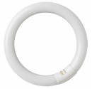 Rund LED-Leuchtstoffröhre 12W G10q 960lm 6500K ø225mm 120º