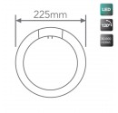 Box 10St. Rund LED-Leuchtstoffröhre 12W G10q 960lm 6500K ø225mm 120º